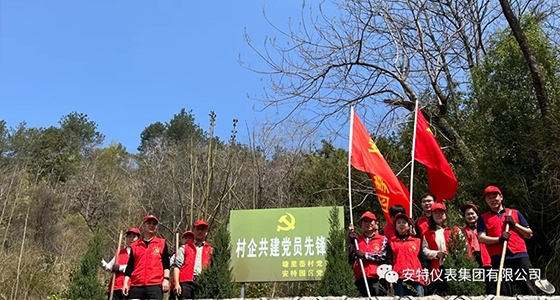党建强引领，，，，，，共植先锋林